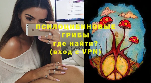стафф Михайлов