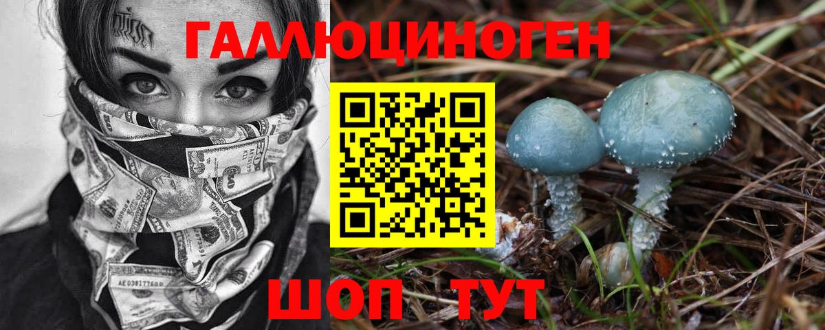 Галлюциногенные грибы ЛСД  как найти   Губкин  Псилоцибиновые грибы Cubensis  Вход с VPN 