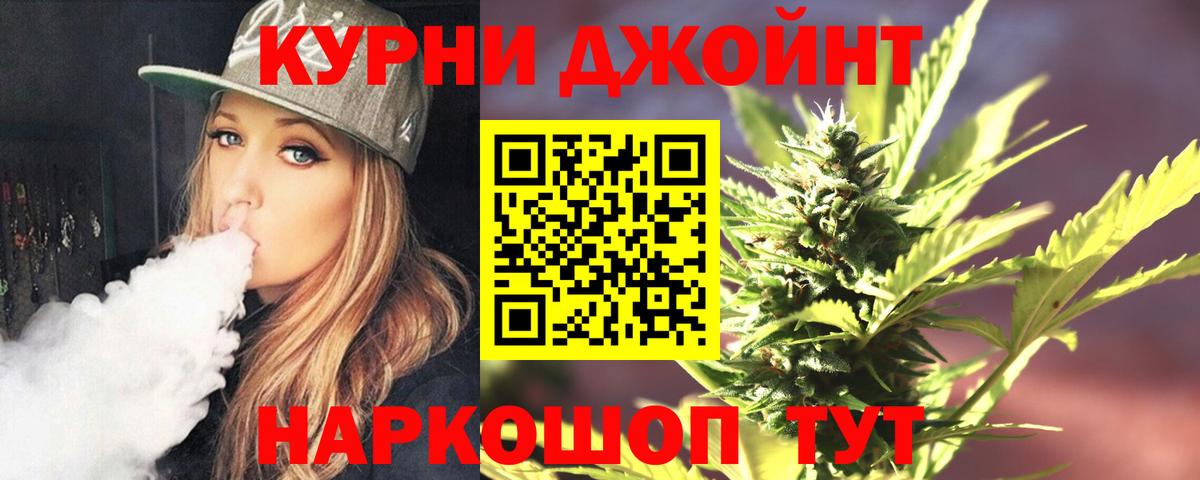 Каннабис гибрид Губкин